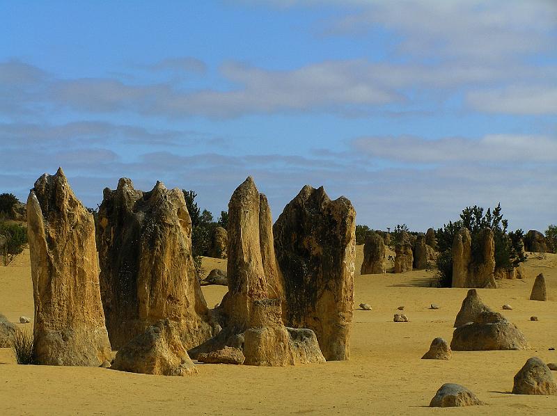 Limestone Soelen, Pinnacles Dessert.W.A..jpg - Es sind rund 150.000 bizarr geformte Kalksteinsäulen, die von wenigen Zentimetern bis zu 5 m hoch sind.